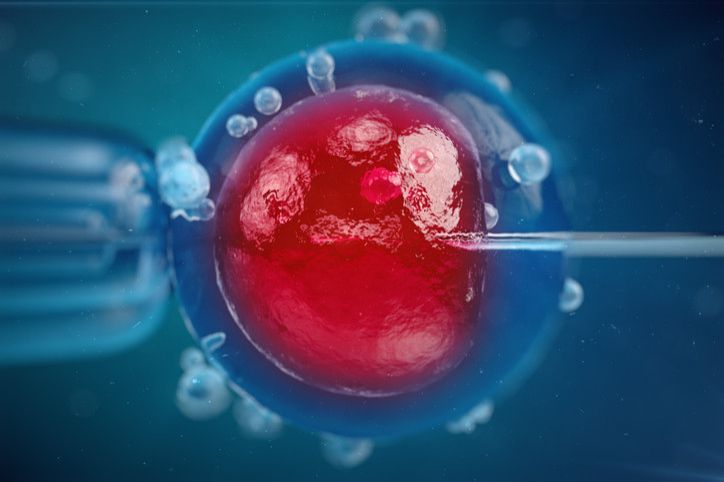 IVF